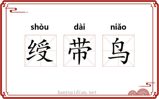 绶带鸟 绶带鸟