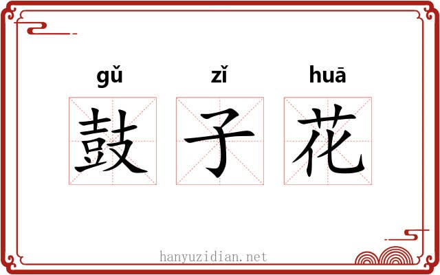 鼓子花