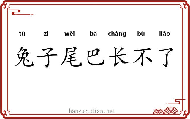 兔子尾巴长不了