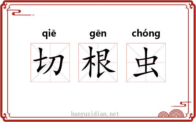 切根虫