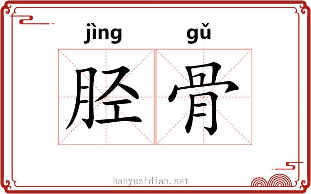 胫骨 胫骨