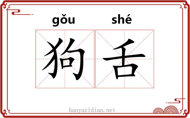 狗舌 狗舌
