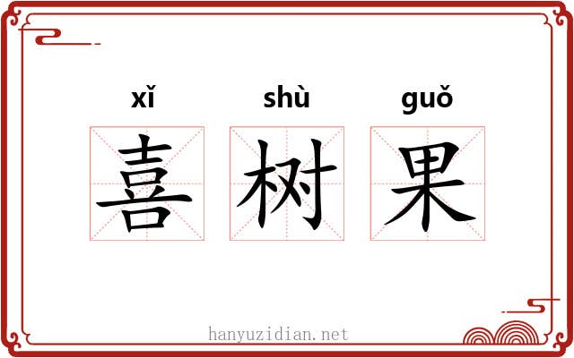 喜树果