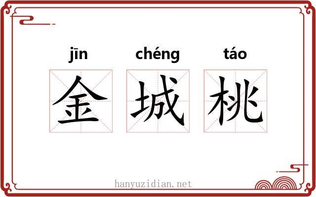 金城桃 金城桃