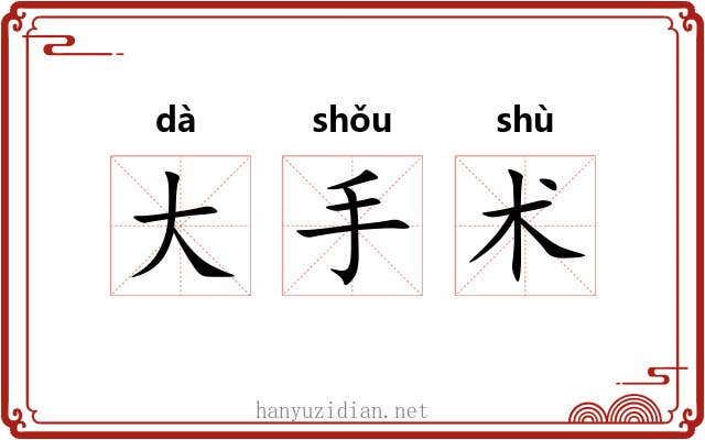 大手术 大手术