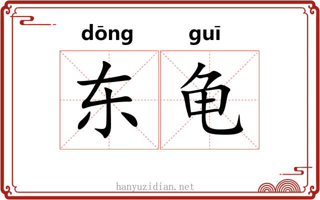 东龟 东龟