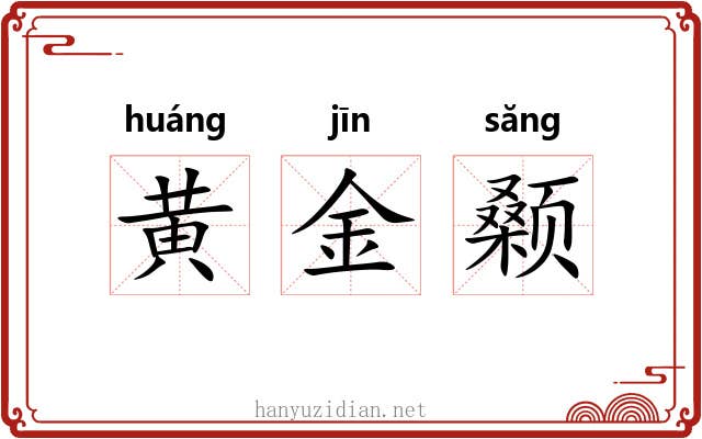 黄金颡 黄金颡