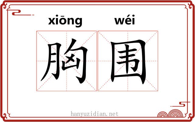 胸围