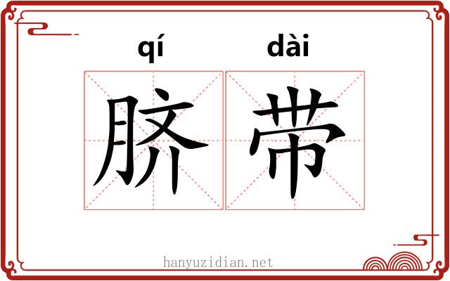 脐带