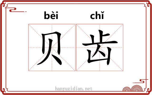 贝齿 贝齿