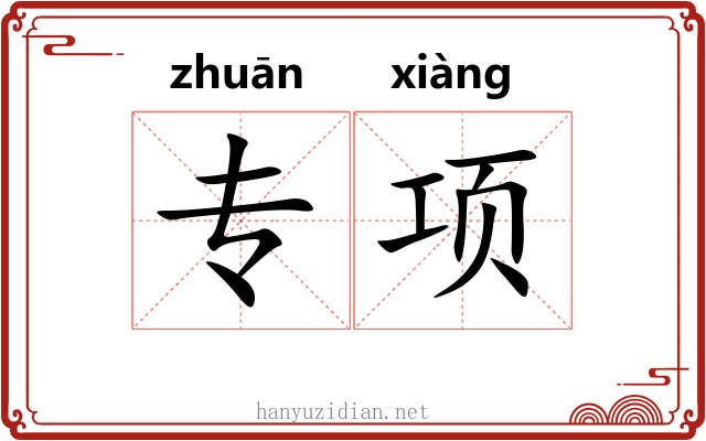 专项
