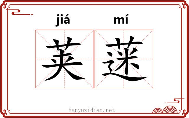 荚蒾