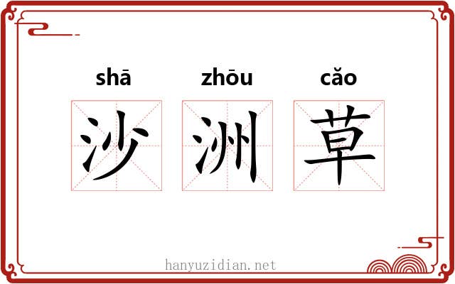 沙洲草 沙洲草