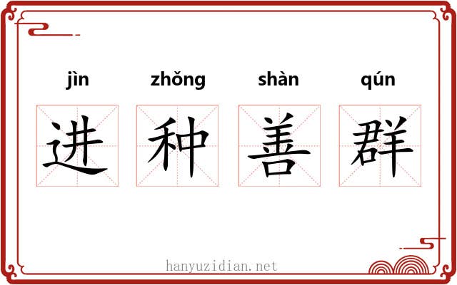 进种善群 进种善群