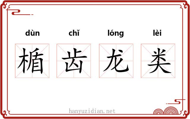 楯齿龙类 楯齿龙类