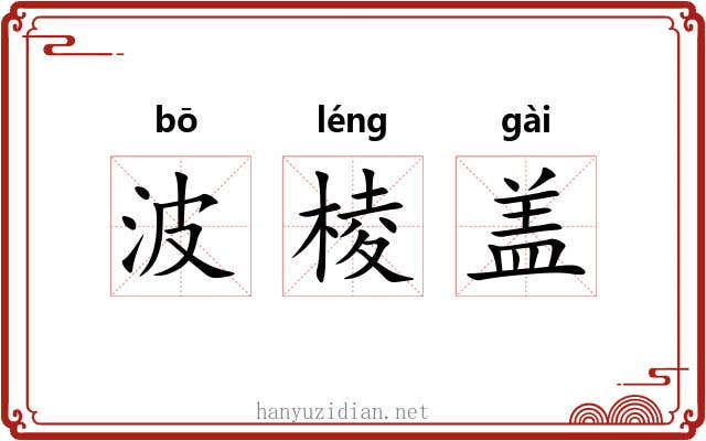 波棱盖 波棱盖