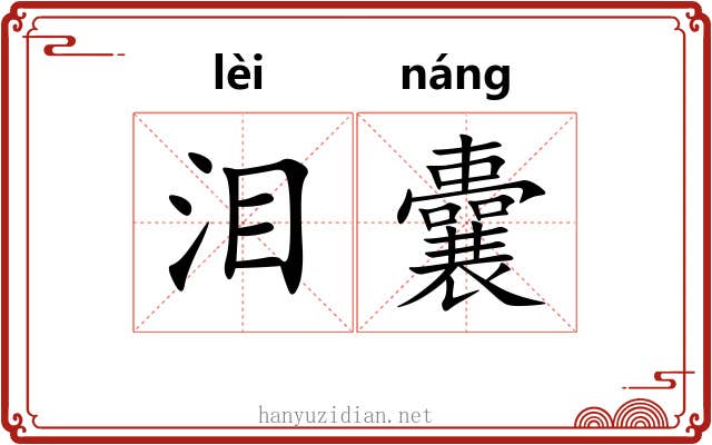 泪囊