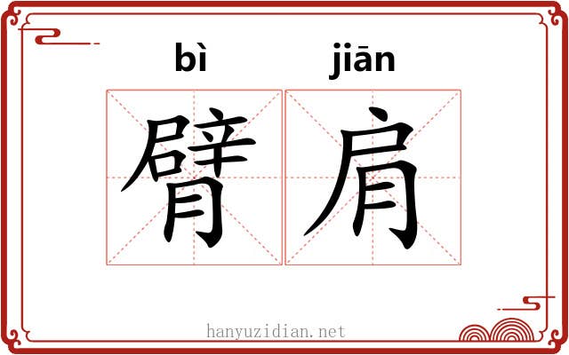 臂肩