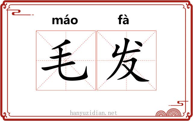 毛发 毛发