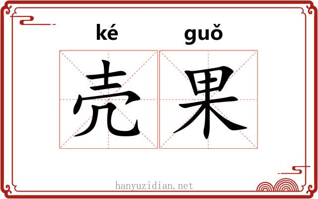 壳果