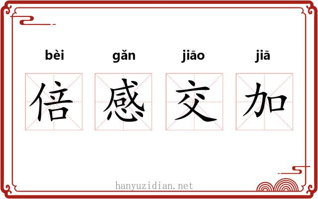 倍感交加 倍感交加