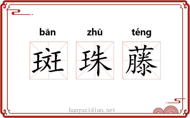 斑珠藤 斑珠藤