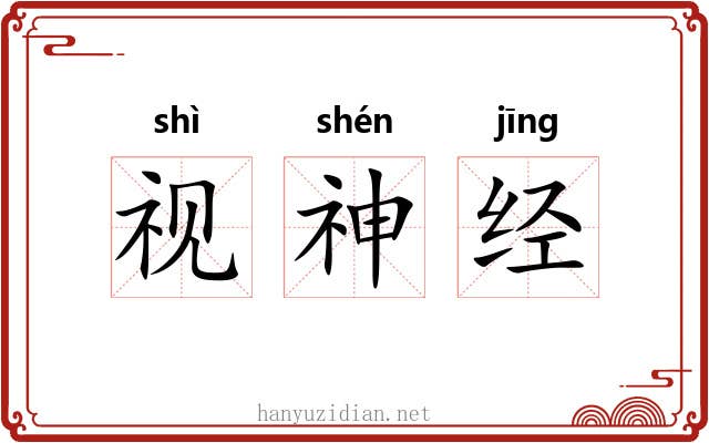 视神经 视神经