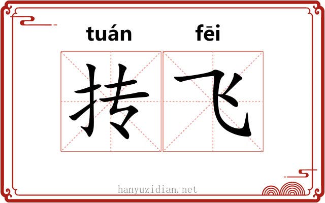 抟飞
