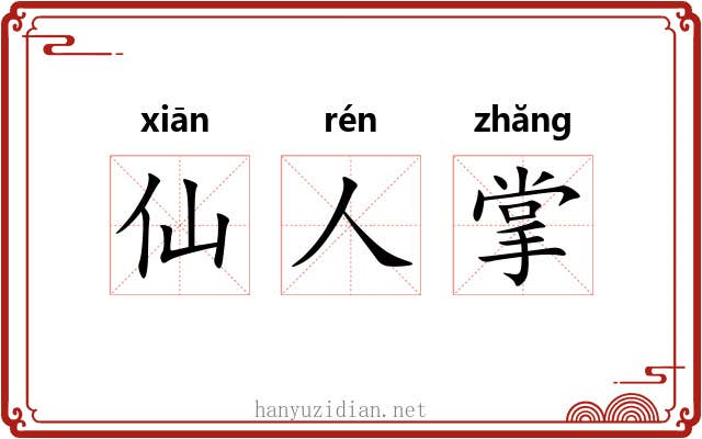 仙人掌 仙人掌