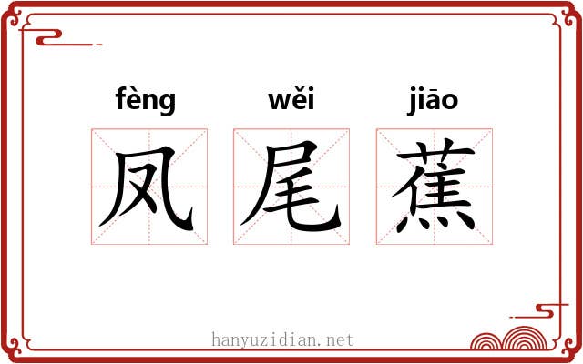 凤尾蕉 凤尾蕉