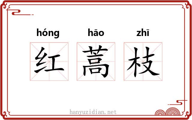 红蒿枝 红蒿枝