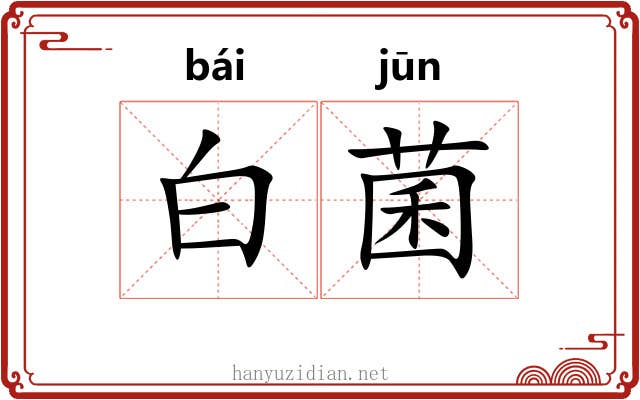 白菌 白菌