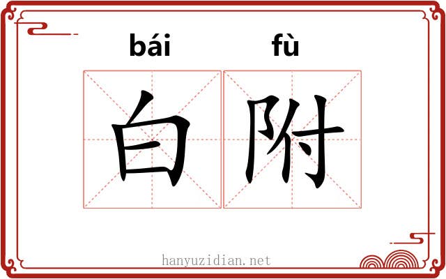 白附 白附