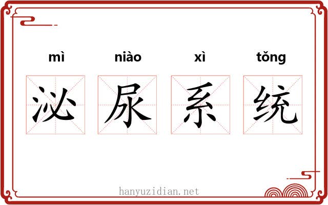 泌尿系统 泌尿系统