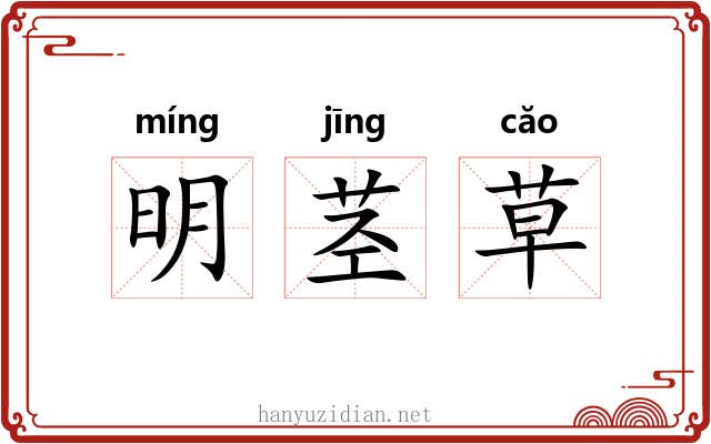 明茎草