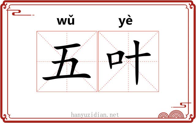 五叶 五叶