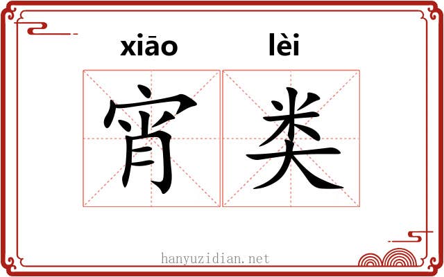 宵类