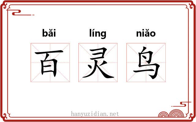 百灵鸟 百灵鸟
