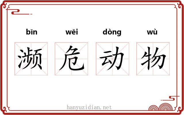 濒危动物 濒危动物
