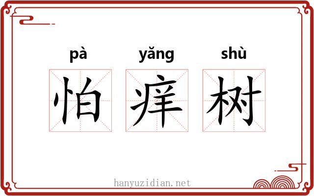 怕痒树