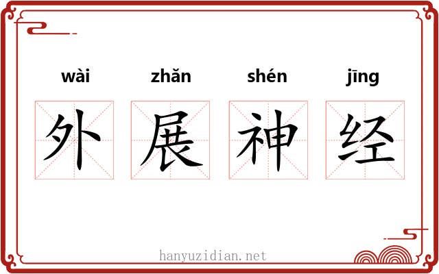 外展神经