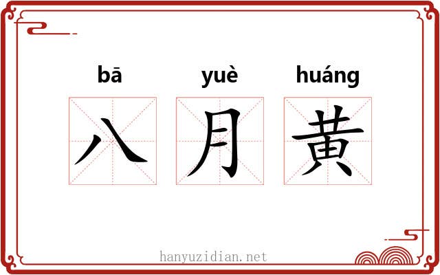八月黄 八月黄