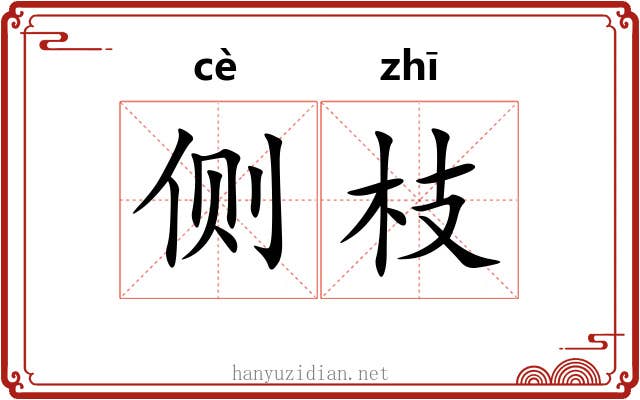 侧枝 侧枝