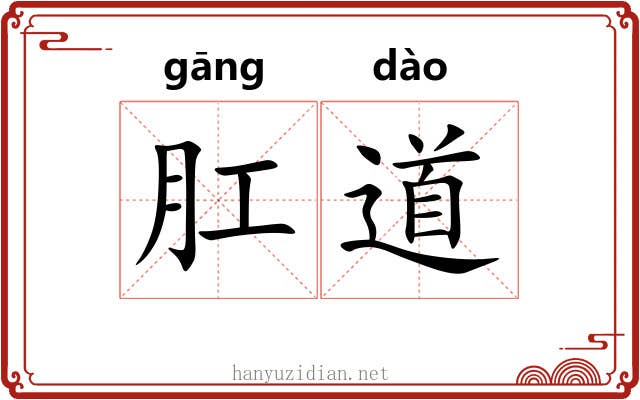 肛道 肛道