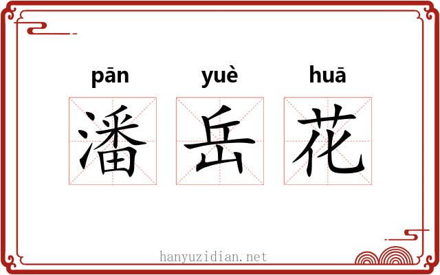 潘岳花