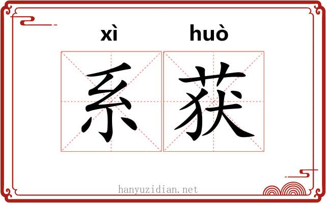 系获