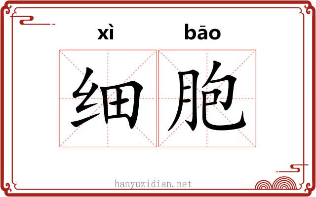 细胞