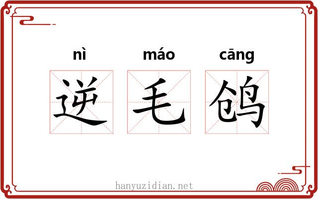 逆毛鸧 逆毛鸧