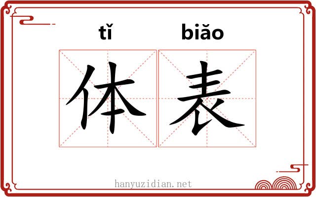 体表 体表