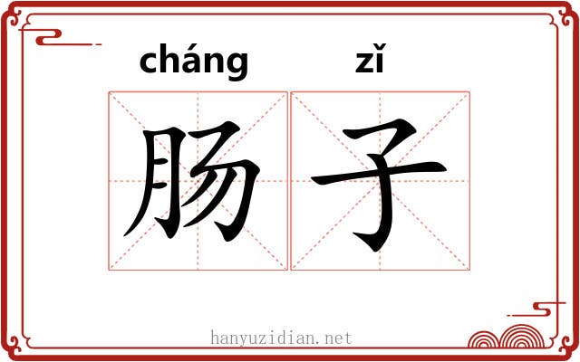 肠子 肠子